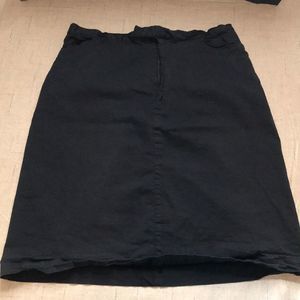 Briggs 14 Skirt 